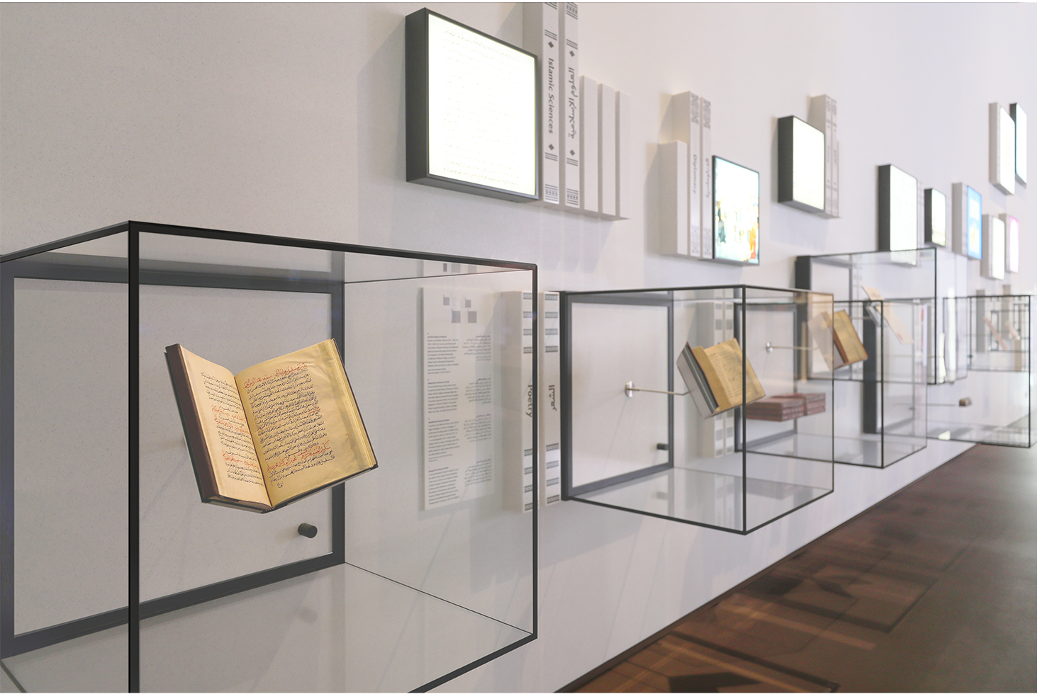 Wall Display Case